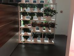 -奔驰北京鹏龙星徽(西大望路店)