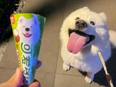 -新鞑烤羊腿(康平路店)