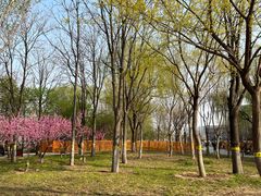 -回龙观体育文化公园