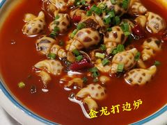 -金龙·打边炉(南京西路店)