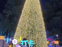 -常州丽亭酒店