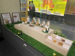 -广东中医药博物馆