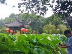 -丝绸小镇荻港古村