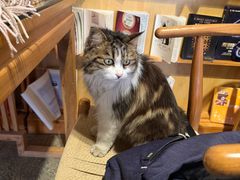 -甲乙丁書店·书茶咖·四合院