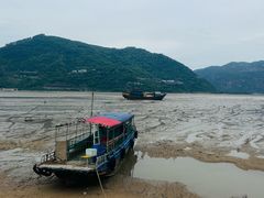 -北岐滩涂