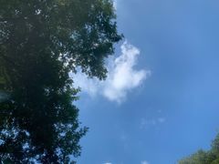 -雅鲁激流探险漂流