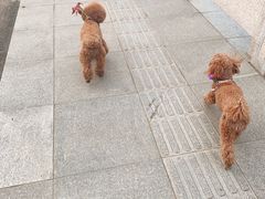 -百家园土菜馆(兴民北路店)