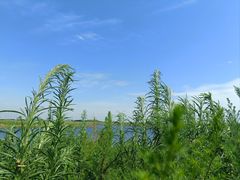 -启东黄金海滩景区