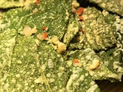 -径山十八道·风味民间菜(杭州总店)
