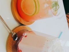 -喵园·猫主题咖啡厅·撸猫·猫咖(国贸店)