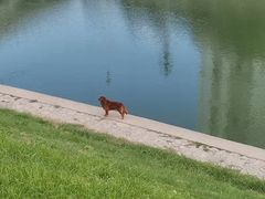 -四里河滨水生态公园