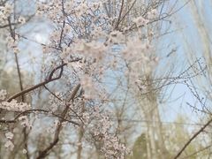 -南长河公园