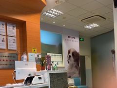 -瑞派申生动物医院·24H夜诊·国际动物医疗中心·骨外科(吴中路店)