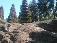 android_upload_pic-玉苍山国家森林公园