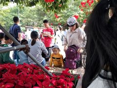 -广东茂名森林公园