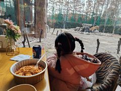 -上海野生动物园老虎餐厅