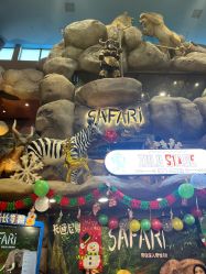-卡通尼·Safari非洲探索乐园·生日会(金桥国际商业广场店)