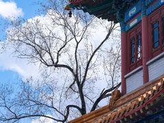 -大乘寺