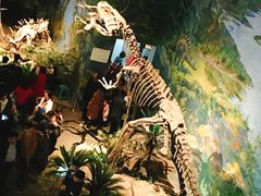 -自贡恐龙博物馆