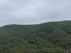 -大围山国家森林公园