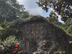-黄山翡翠谷景区