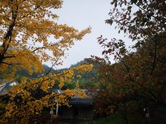 -贵阳市花溪国家城市湿地公园