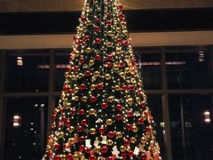 -三迪希尔顿酒店·星空酒廊