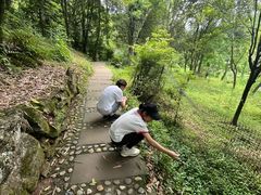 -凤栖山