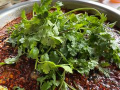 -陈胖子鱼庄(黄辣丁新津店)