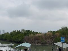 -盐洲岛
