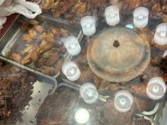 -老杨家熟食店