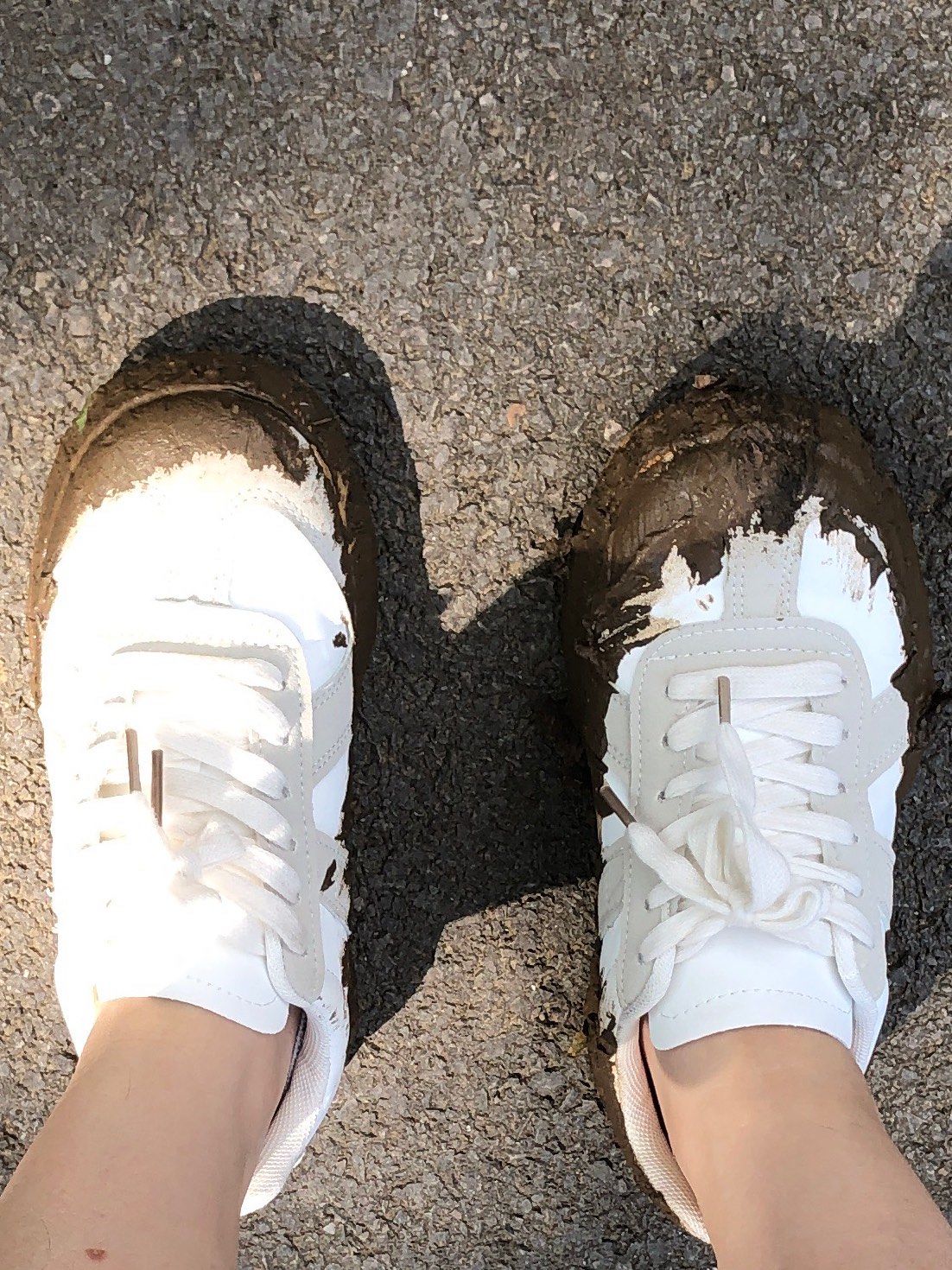 鞋子了
赶紧蹦跶出泥潭
被老爹嫌弃
说我看见湿的泥还踩
可是