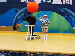 -秦皇岛乐岛海洋王国