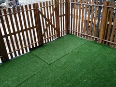 -圣宠宠物(平吉花卉市场店)