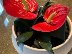 -上海总会SHANGHAICLUB(兴业太古汇店)