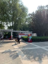 -酷酷兔少儿拓展天地