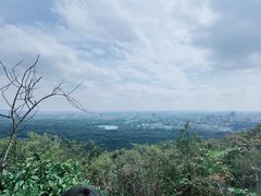 -紫金山山顶公园