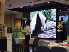 -眉州东坡(博雅店)