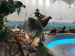 -大连市规划展示中心