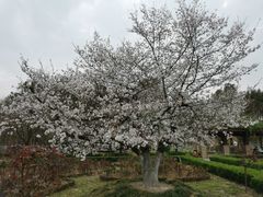 -大蜀山国家森林公园