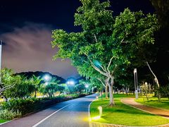 -野狸岛