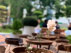 -翠贝卡&Mama Kelly Brunch Coffee(河西店)