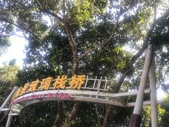 -亚龙湾热带天堂森林公园