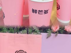 -鲜芒多·杨枝甘露(摩尔城A座10楼店)