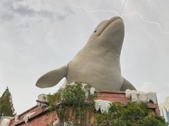 -杭州长乔极地海洋公园