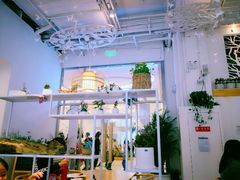 -苗祖咖啡(洛克时代中心店)