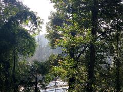 -凤栖山