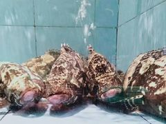 -徐记海鲜(梅溪新天地店)