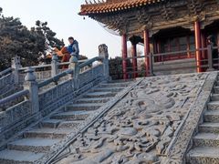 -北陵公园