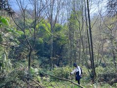 -樱桃山旅游景区